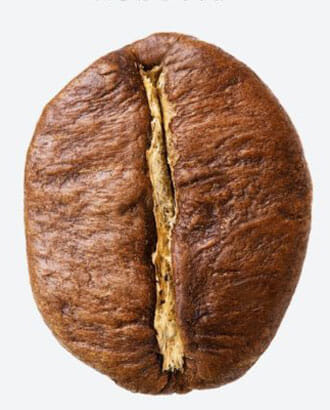 【コーヒー豆について】美味しいコーヒーは豆で決まる！自分好みの品種や生産地、焙煎度合いを理解して美味しいコーヒーを飲むための“豆”講座｜豆の品種：ロブスタ種（カネフォラ種）