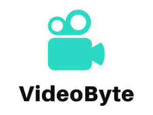 【解説】DVDコピー方法|レンタルDVDもパソコンに保存:DVDコピーに必要なソフト(無料・有料ソフトから厳選):VideoByteロゴマーク