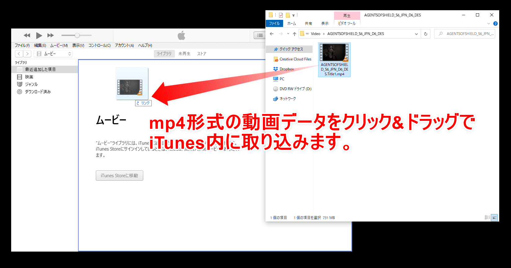 Dvdfab11リッピング方法 Dvdfab11を使ってdvdをリッピング Mp4形式に変換してiphoneに動画データを取り込む方法 Isoファイルからも変換可能