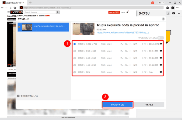 【決定版】XVIDEOSダウンロード方法|高画質で動画保存|XVIDEOSのダウンロード方法:するとダウンロードしたいXVIDEOS動画のページが表示されて、自動的に動画が解析されてその結果が表示されます。