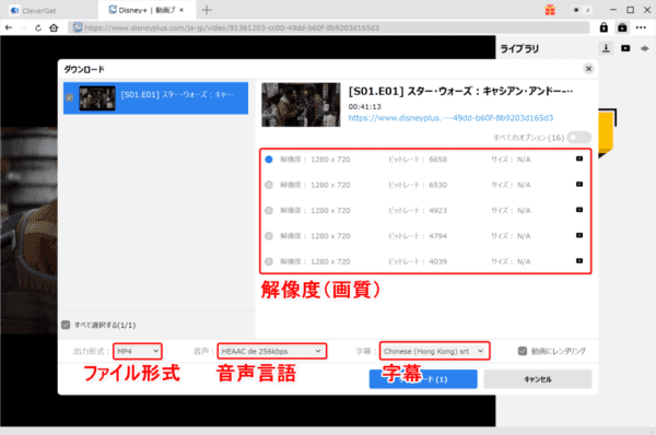ディズニープラスの録画方法|PC保存してDVDに焼ける!|ディズニープラスの録画方法:解析が終わると画面録画(ダウンロード)する動画コンテンツの詳細を設定する画面が表示されます。 ここで必要に応じて解像度(画質)・出力形式(ファイル形式)・音声(言語)・字幕を指定しましょう。