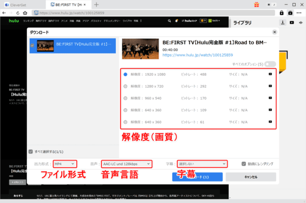Huluの録画方法|画面録画禁止の動画を保存する裏ワザ|Huluの録画方法:解析が終わると画面録画(ダウンロード)する動画コンテンツの詳細を設定する画面が表示されます。 ここで必要に応じて解像度(画質)・出力形式(ファイル形式)・音声(言語)・字幕を指定しましょう。